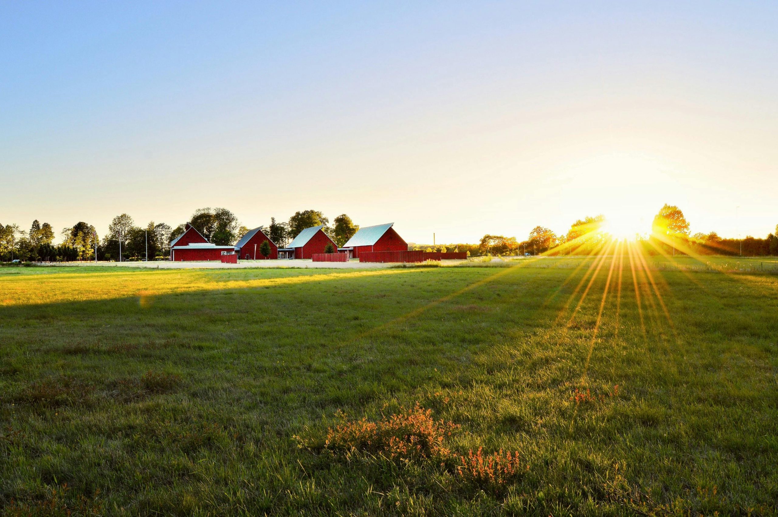A1 Wise Realty Farms for Sale